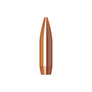 HORNADY 22 Cal (.224 Diameter) BTHP MATCH 75gr Projectiles