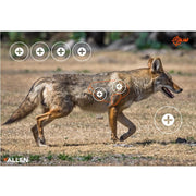 ALLEN Ez Aim Paper Targets