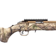 RUGER American Rimfire Go Wild