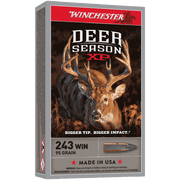 WINCHESTER Deer Season 243Win 95gr XP