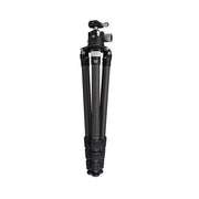 VORTEX Radian Carbon Tripod Kit