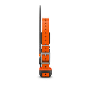 GARMIN Alpha T20 Gps Collar